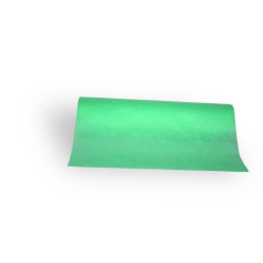 BEDSHEETS NONWOVEN GREEN 60cm x 50m Beautyforsale - 1