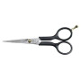 HAIR SCISSORS - ABS HANDLES Kiepe - 1