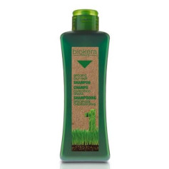 Oily hair shampoo 300 ml Salerm - 1