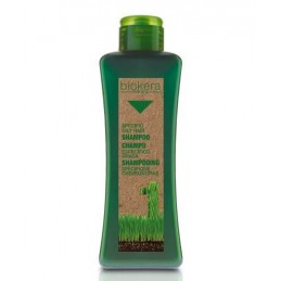 Oily hair shampoo Salerm - 1