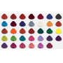 Swatch chart (direction colors) La Riche - 1