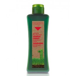 Shampoo specific hair regenerating Salerm - 2