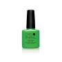 Shellac nail polish - LUSH TROPICS CND - 1